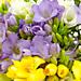 different views of our 'Fantasy Freesia Bouquet' flowers