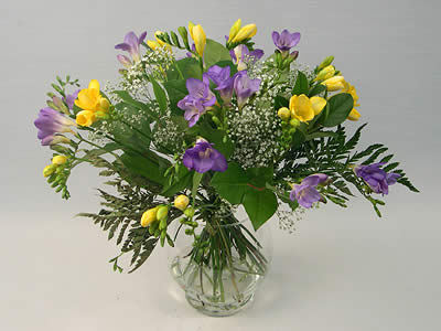 Scented Freesia
