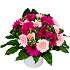 The Gerbera Gem Bouquet is packed full of vibrant cerise and pink germinis. The colours are outstanding and reflect the Summer months brilliantly.