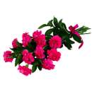 Hot Pink Carnations