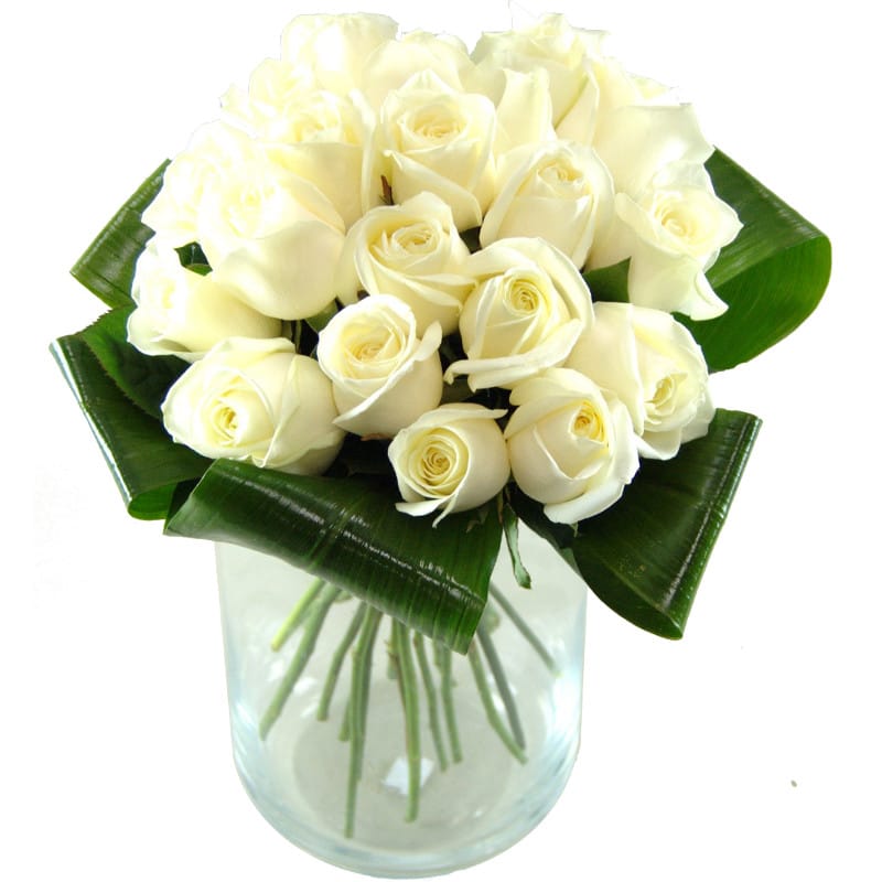 Picture of Innocence White Roses