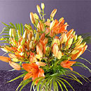 orange lilies