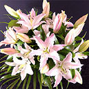 lovely bouquet of pink lilies