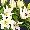 Simply Lilies; premium quality, beautifully scented, fresh crisp white lilies.