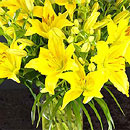 beautiful lily bouquet
