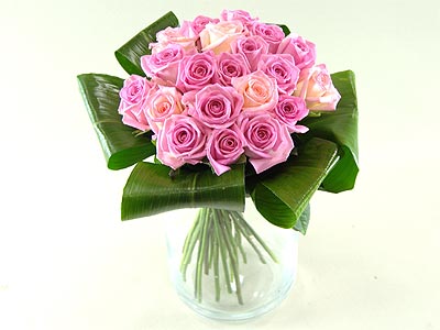Grace - pink roses