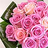 Grace - Pink Roses, a favourite with every lady; Twenty sweet pink roses perfectly arranged in a hand tied bouquet, finished off with luscious green aspidistra leaves.