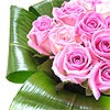 Grace - Pink Roses, a favourite with every lady; Twenty sweet pink roses perfectly arranged in a hand tied bouquet, finished off with luscious green aspidistra leaves.