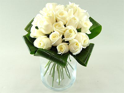 Clareflorist Innocence - white roses