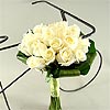 Innocence - the meaning of pure white roses, twenty crisp fresh roses hand tied and perfectly presented.