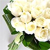 Innocence - the meaning of pure white roses, twenty crisp fresh roses hand tied and perfectly presented.