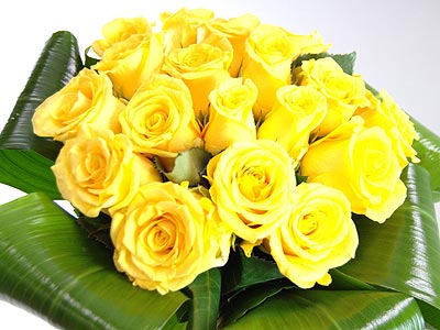 http://www.clareflorist.co.uk/ProdImages/flowers/june07yellow1.jpg