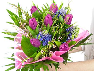 Clareflorist Lavender Blues