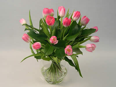 Tulip Bouquet