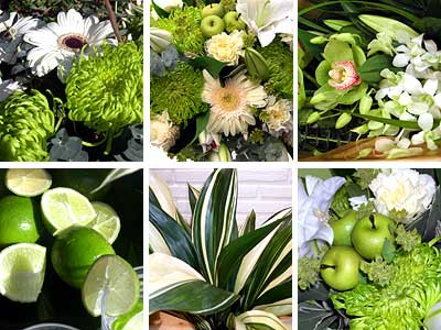 Picture of Green Flower Collection
