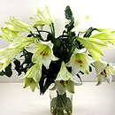 Longi Lilies