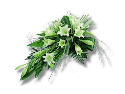 Longiflorum Lilies half price special offer on subscriptions.