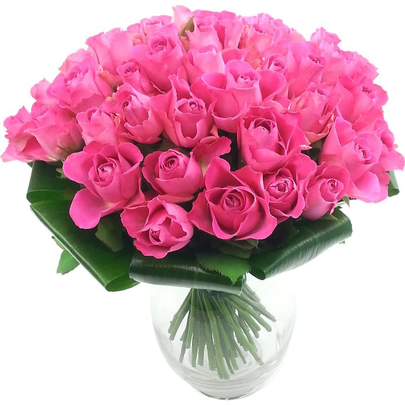 Luxury 50 Pink Roses Bouquet half price special offer on subscriptions.
