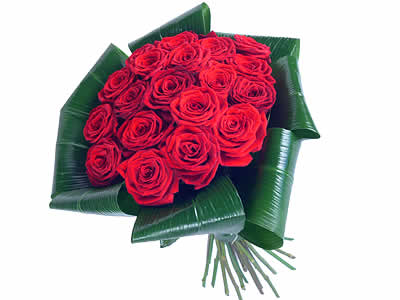 Love - red roses