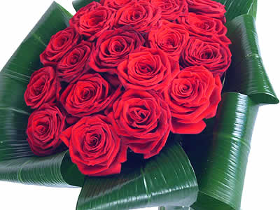 Love - red roses