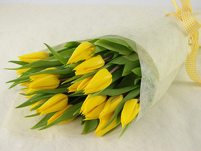 Easter Tulips