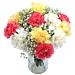 Bursting with colour! The fabulous Mixed carnations close up.