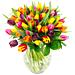 A close up of our tulips, showing their fine quality and stunning vibrant colours.