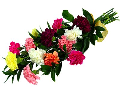 Mixed Carnations