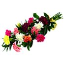 Mixed Carnations