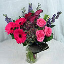 pink germini
germini
hot pink germini
aconitum
roses
pink roses
hydranega
calla lillies
black callas
eustoma
purple eustoma
pink eustoma
aspidistra leaves
