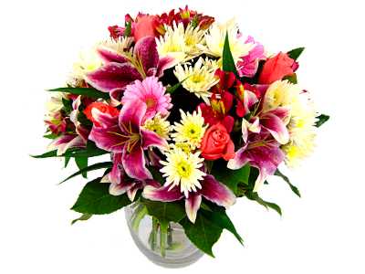 Baby Girl Flowers