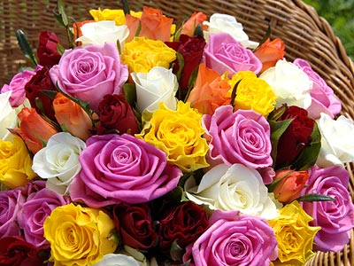 Bouquets Rainbow Roses