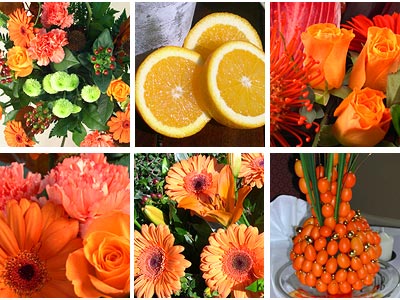 Picture of Orange Flower Collection