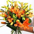 orange lilies