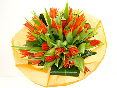 Romantic Flowers