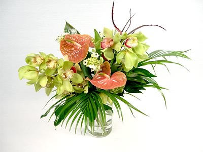 Timeless Orchids