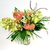 Timeless Orchids (�54.99) - Timeless cymbidium orchids arranged with tropical anthuriums lush green foliage. Timeless cymbidium orchids arranged with tropical anthuriums lush green foliage. These flowers can be delivered anywhere in the the UK six days a week.