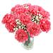 A close up of The Pink Carnations