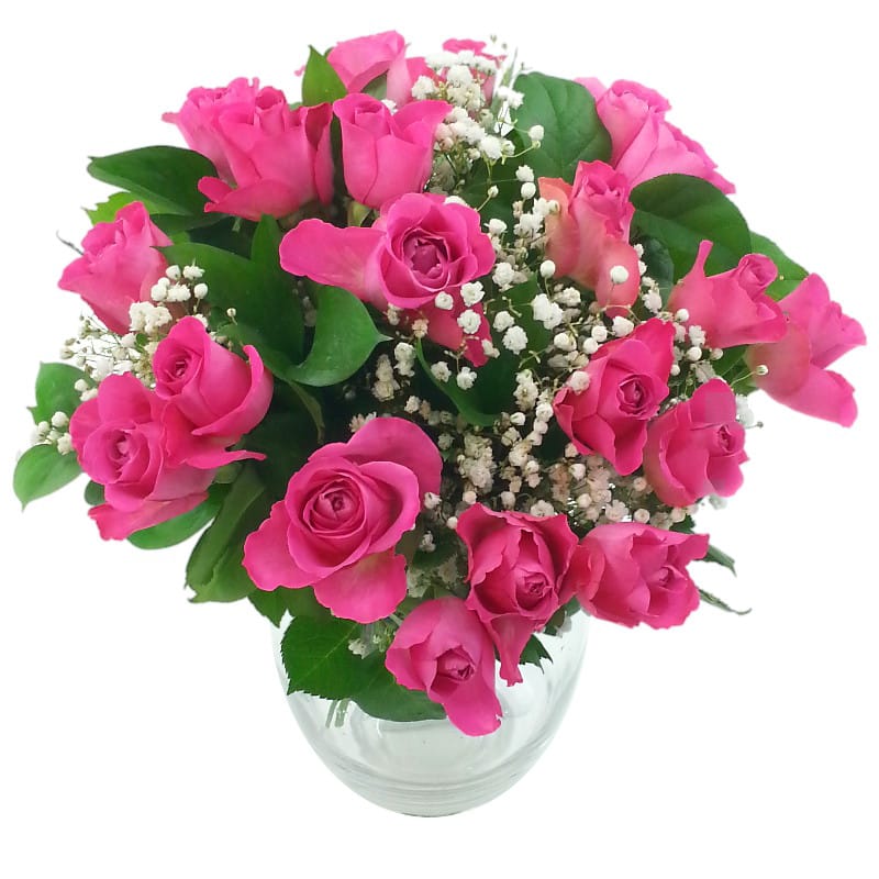 Picture of 20 Pink Roses with Gyp