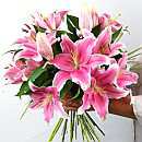 Sensation Lilies