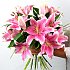 Sensation Lilies. A gorgeous hand tied bouquet of fresh and vibrant oriental lilies, which have a delightful scent that will brighten and fragrance any room in the home or office.