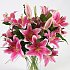 Sensation Lilies. A gorgeous hand tied bouquet of fresh and vibrant oriental lilies, which have a delightful scent that will brighten and fragrance any room in the home or office.