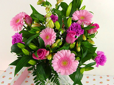 Mothers Day Pinks Mothers Day Pinks