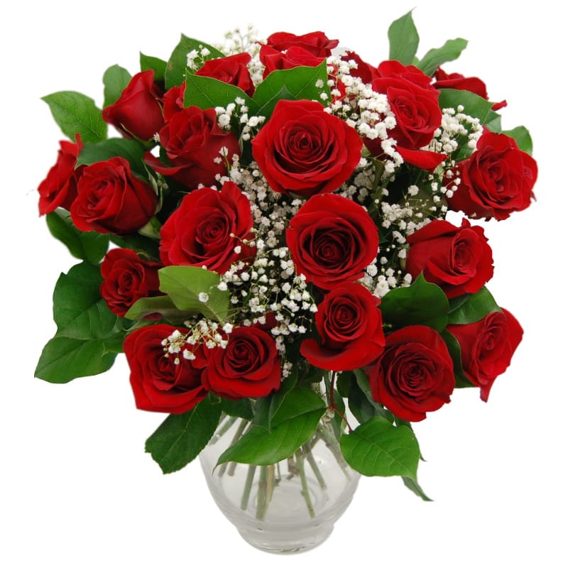 Promise - 24 Red Roses half price special offer on subscriptions.
