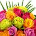 Available for free next day delivery, Rainbow Roses close up depicting the fabulous colours of the rainbow.. Available for free next day delivery, Rainbow Roses close up depicting the fabulous colours of the rainbow..
