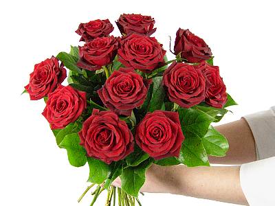 Dozen Red Roses