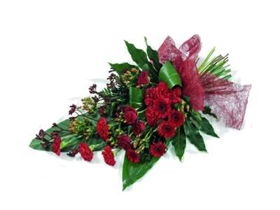 Red Carnation Spray