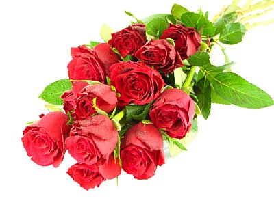 Romantic Red Roses