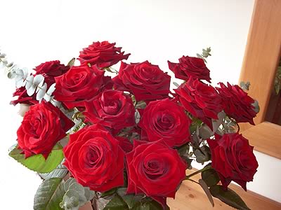 A true expression of your love to that very special someone. Twelve rich red roses surrounded by lush green foliage. Vase not included. 