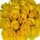 20 Yellow Roses. These sensational 20 Yellow Roses are quite simply stunning. 20 stems of the finest quality crisp fresh vibrant roses.